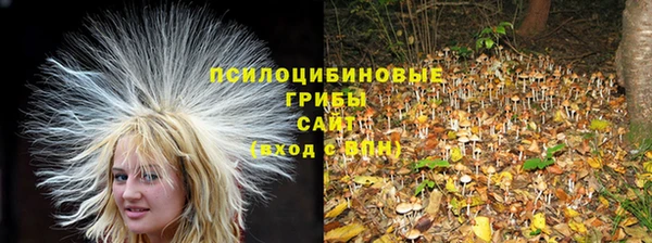 хмурый Заволжск