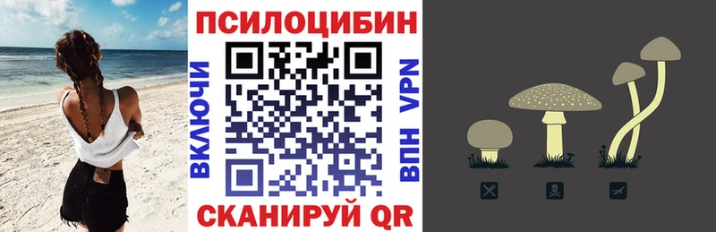 Купить где  Звенигород  Галлюциногенные грибы MAGIC MUSHROOMS 