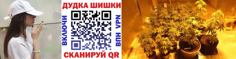 Бошки Шишки Amnesia  Купить где  Звенигород 